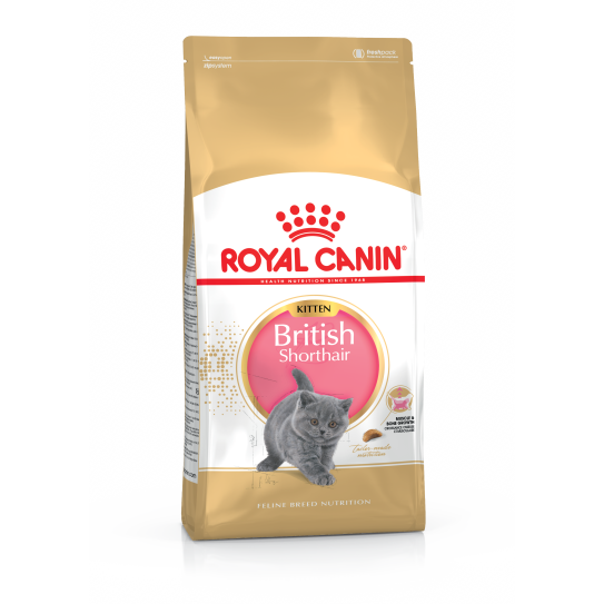 Royal Canin British Shorthair Kitten Сухий корм для кошенят віком до 12 місяців породи Британська Короткошерста