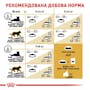 Royal Canin British Shorthair Adult 0,4кг.