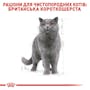 Royal Canin British Shorthair Adult 0,4кг.