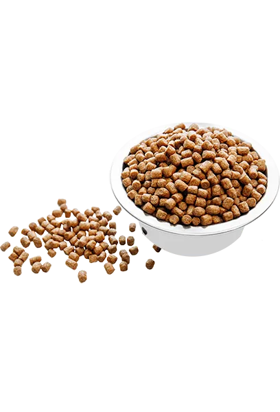 Carpathian Pet Food – Kittens