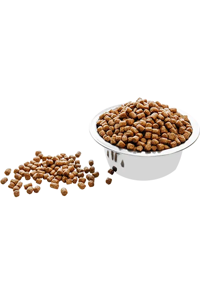 Carpathian Pet Food – Mini Adult