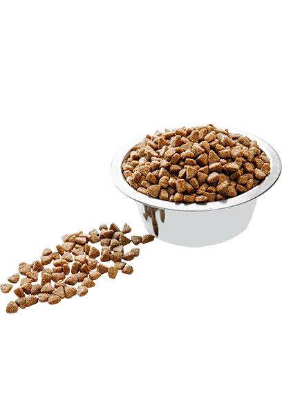 Carpathian Pet Food – Inactive (cat)