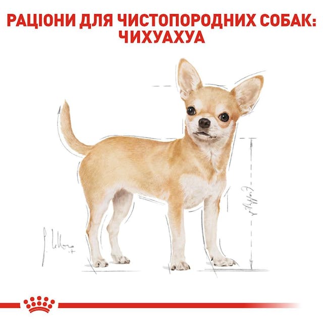 Royal Canin Chihuahua Adult 0,5кг.
