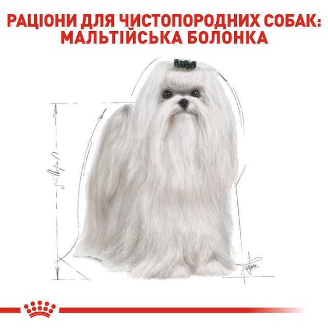 Royal Canin Maltese Adult 0,5кг.