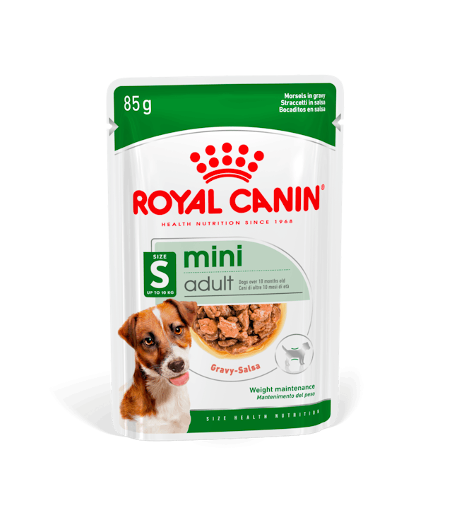 Royal Canin Mini Adult