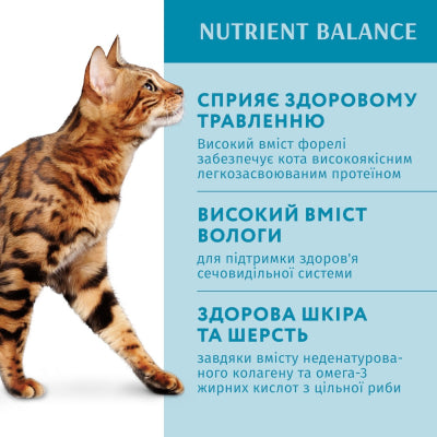 Вологий корм Optimeal з фореллю в кремовому соусі для дорослих котів