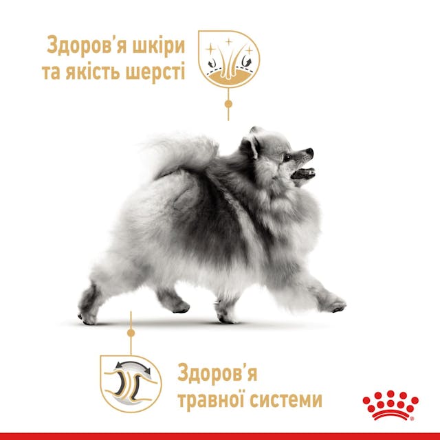 Royal Canin Pomeranian Adult 0,5кг.