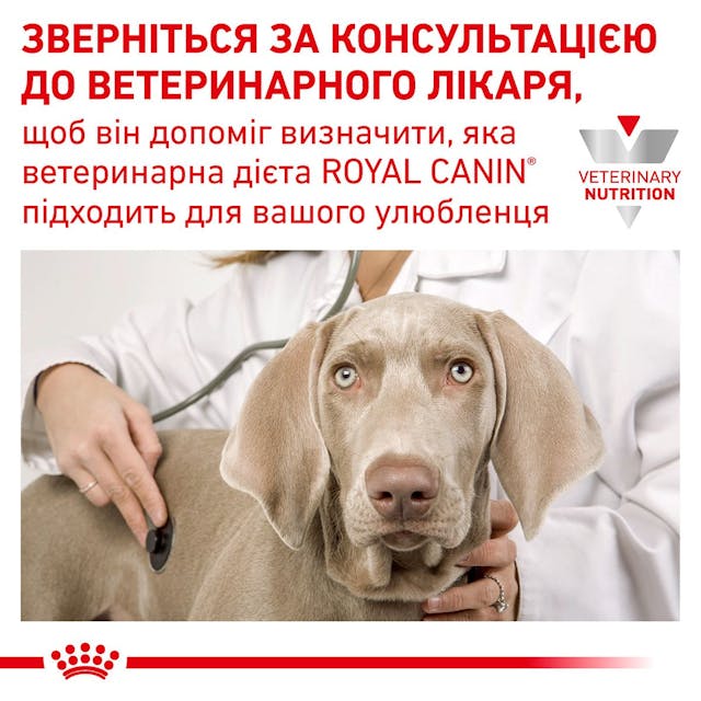Royal Canin Recovery 195g.