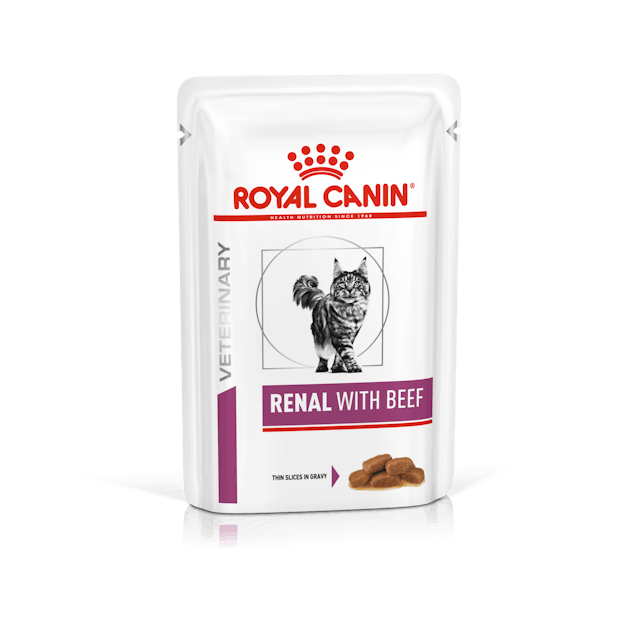 Royal Canin Renal with Beef