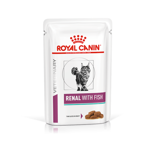 Royal Canin Renal with Fish