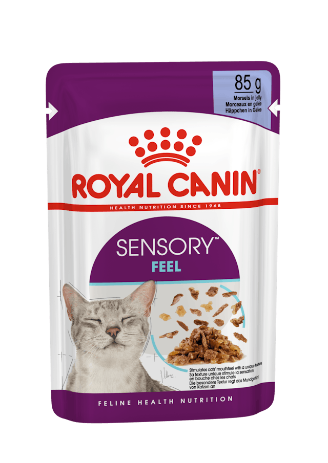Royal Canin Sensory Feel Morsels in jelly