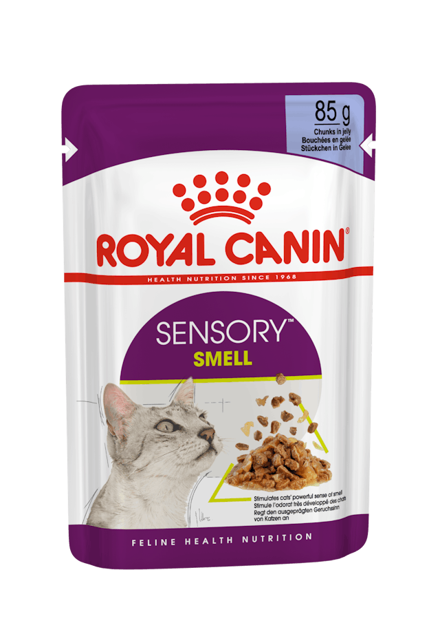 Royal Canin Sensory Smell Chunks in jelly