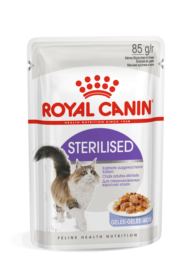 Royal Canin Sterilised Jelly