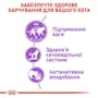 Royal Canin Sterilised Jelly