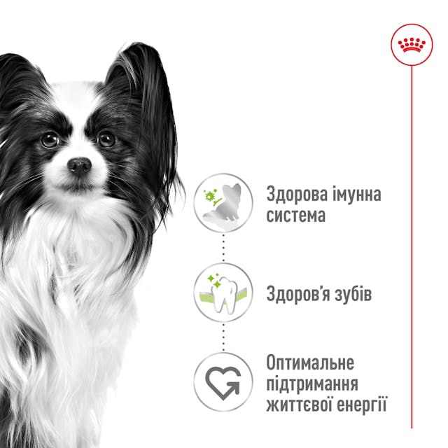Royal Canin X-Small Adult 3кг.