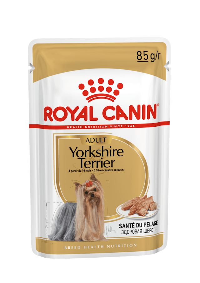 Royal Canin Yorkshire Terrier
