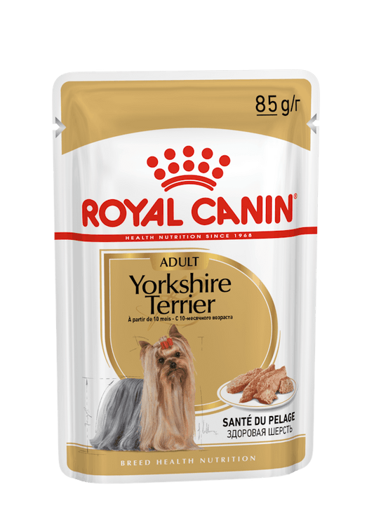 Royal Canin Yorkshire Terrier