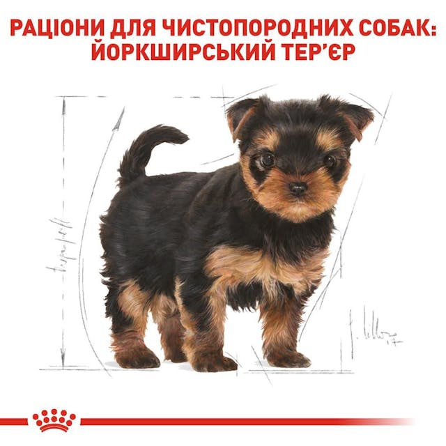 BHN YORKSHIRE PUPPY 0,5kg корм для собак