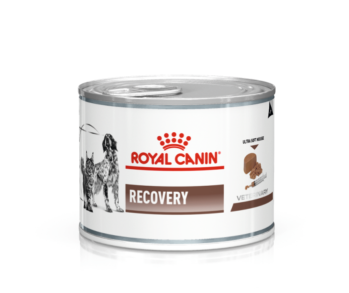 Royal Canin Recovery 195g.