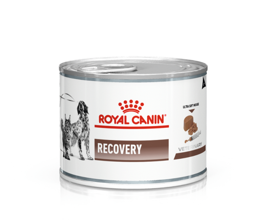 Royal Canin Recovery 195g.