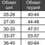 жилет Diego jacket ХS/1 помаранчева